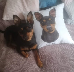 Custom Pillow Case with Your Pet's Portrait - Personalised Modern Pet Portrait, Christmas Gift