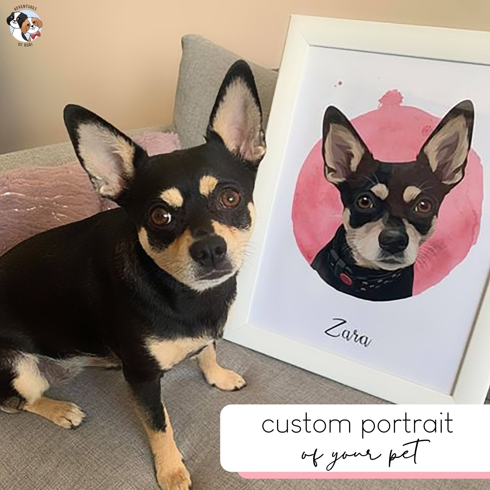 Custom Modern Pet Portrait in Colorful Circle - Personalised Portrait - Adventures of Rubi