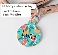 Modern Vivid Citrust Fruits Dog Collar - XS-L sizes with custom matching pet tag - Adventures of Rubi