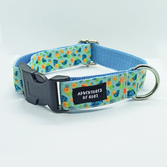 Modern Vivid Citrust Fruits Dog Collar - XS-L sizes with custom matching pet tag - Adventures of Rubi