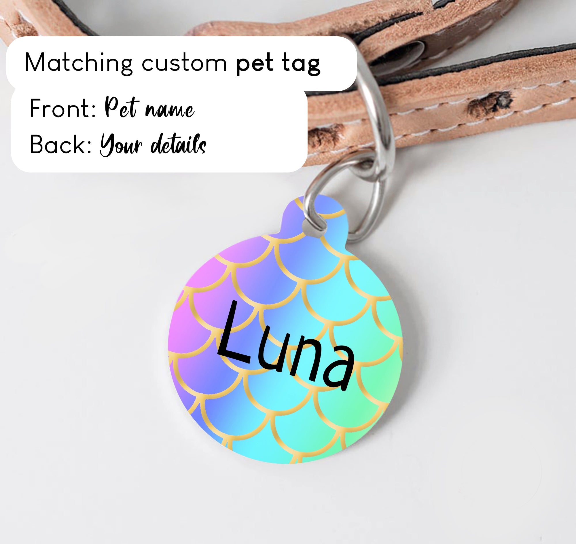 Rainbow with Golden Scale Pattern Dog Collar - S-L sizes with custom matching pet tag - Adventures of Rubi