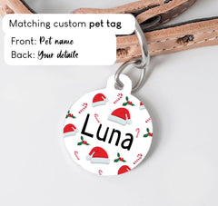 Winter Dogs Dog Breeds Christmas Dog Collar - S-L sizes with custom matching pet tag - Adventures of Rubi